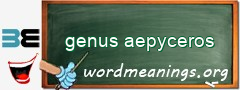 WordMeaning blackboard for genus aepyceros